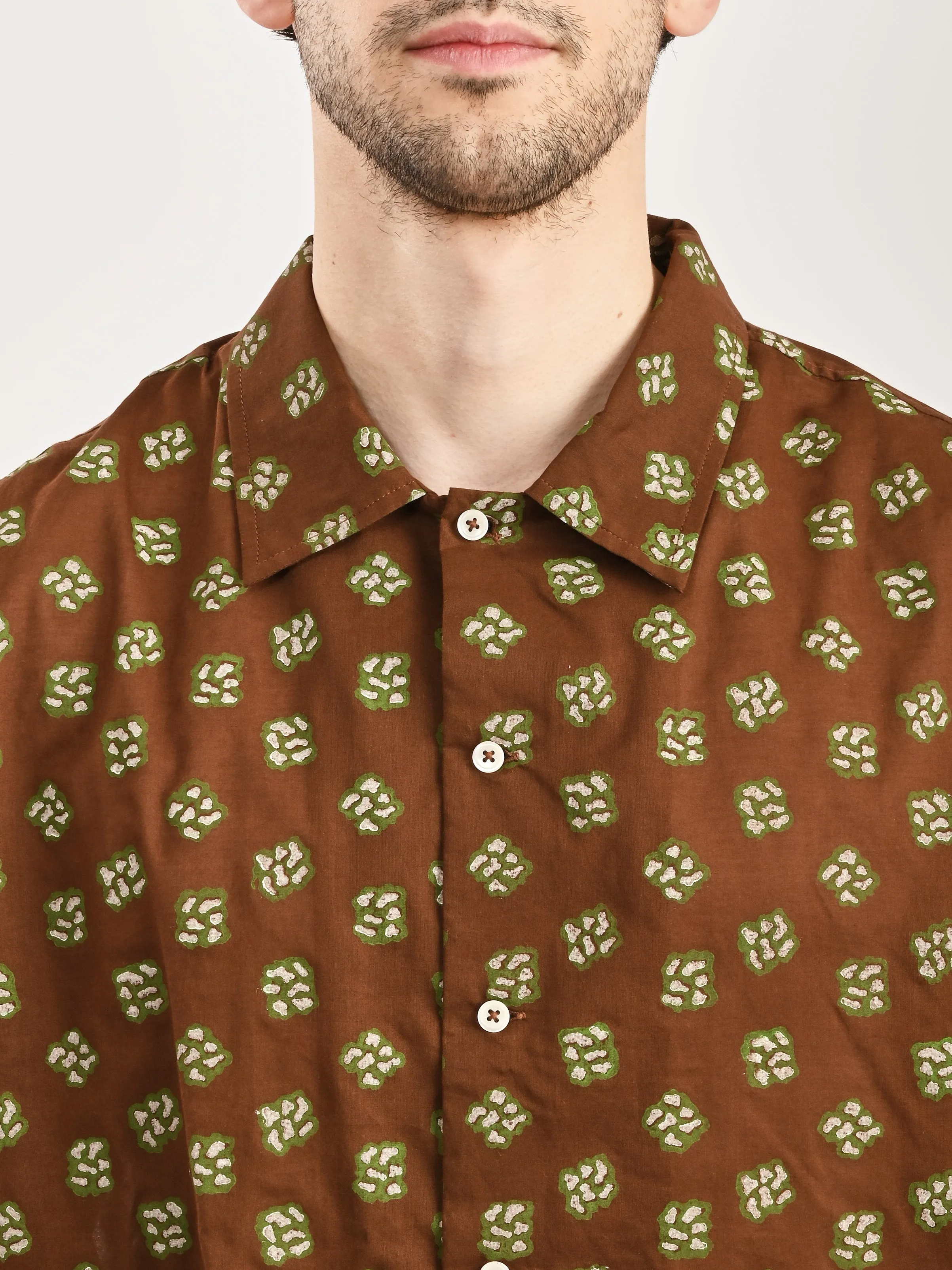 Brown/Multi Hop Tree L/S Shirt