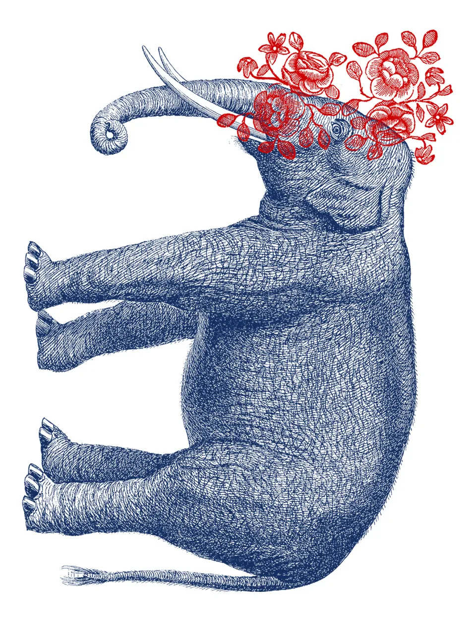 Pia Pullover - Elephant