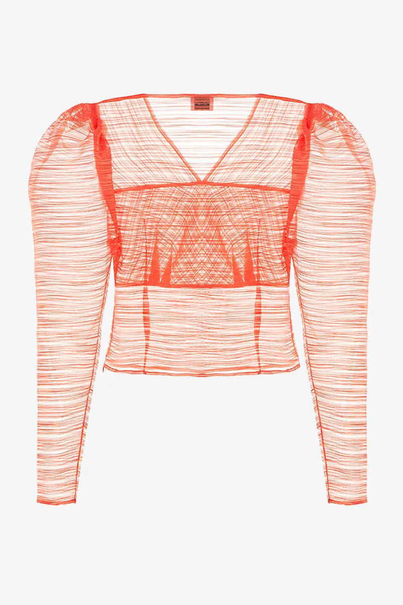 Sheer Top