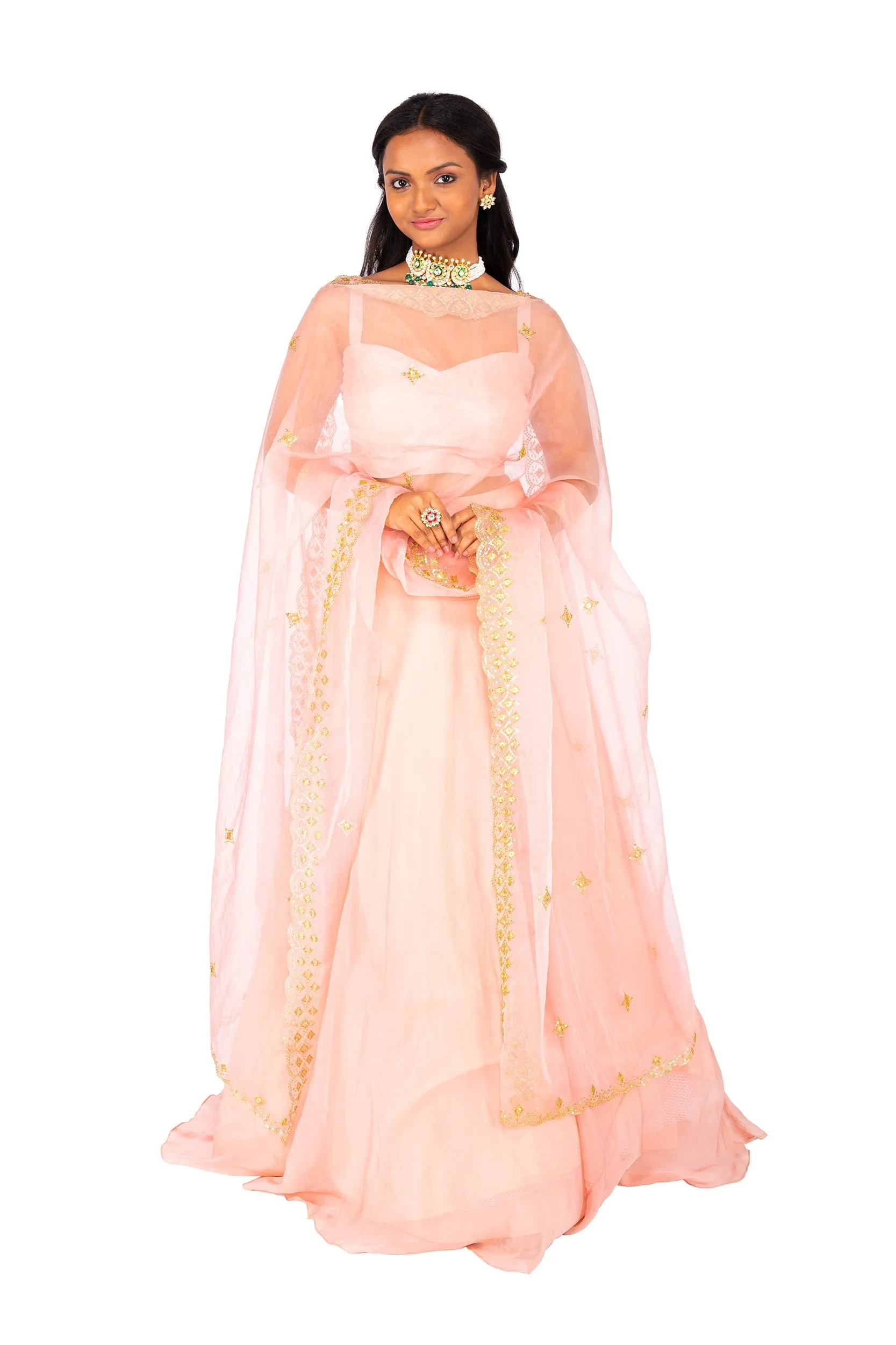 Sonu Lehenga - Sample Sale