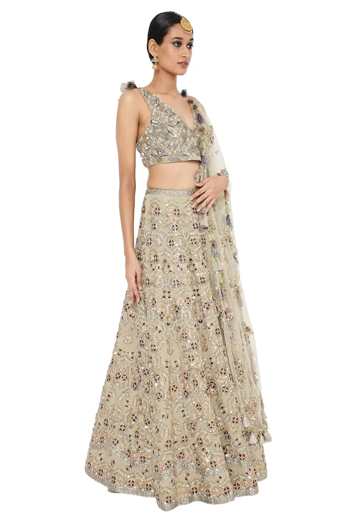 The TAHIRA OLIVE